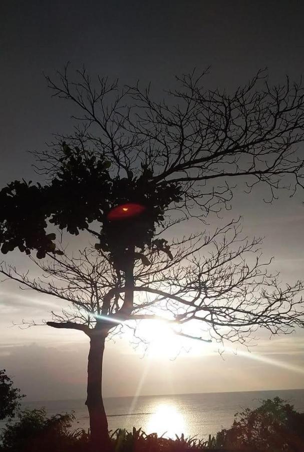 Vila Casa Jubarte Cumuruxatiba Exteriér fotografie
