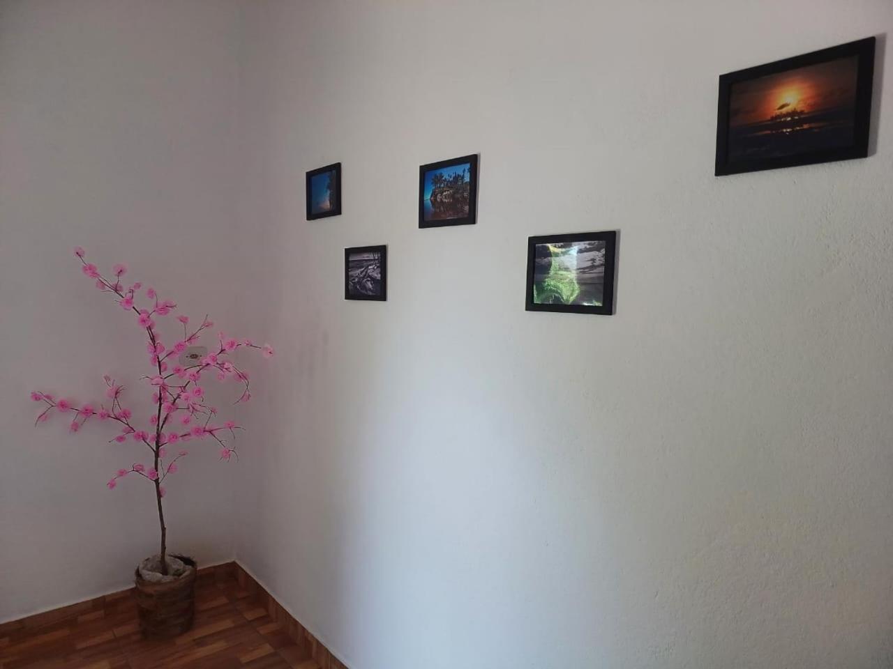 Vila Casa Jubarte Cumuruxatiba Exteriér fotografie